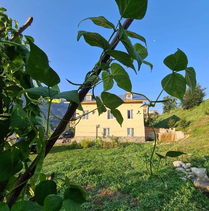 Tetne Qor Guesthouse Μέστια Εξωτερικό φωτογραφία